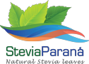 SteviaParana